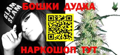 СК Донецк