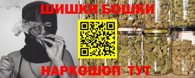 МДПВ Дубна