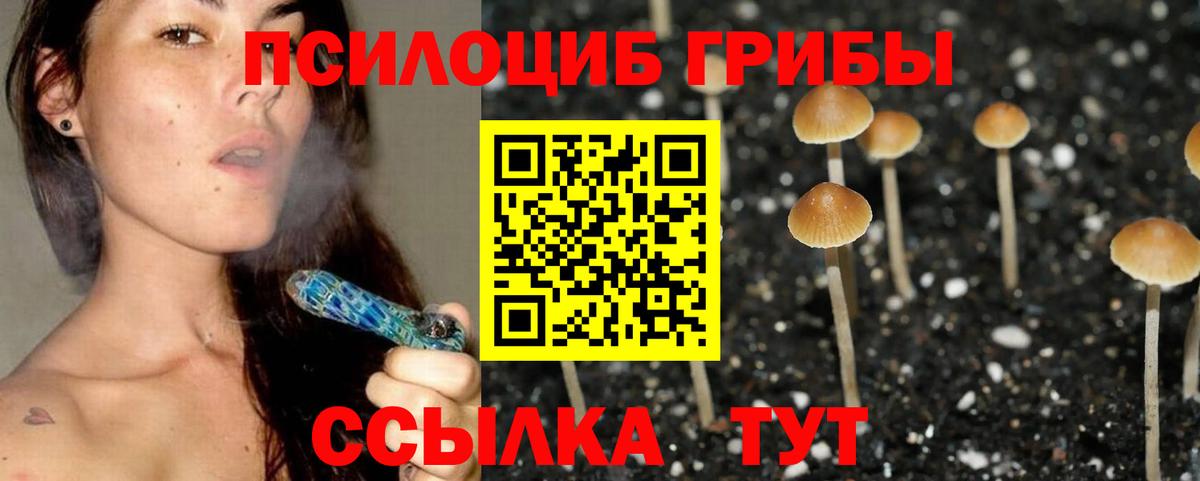 Псилоцибиновые грибы GOLDEN TEACHER  Вход с VPN  Минеральные Воды  Псилоцибиновые грибы Psilocybine cubensis 